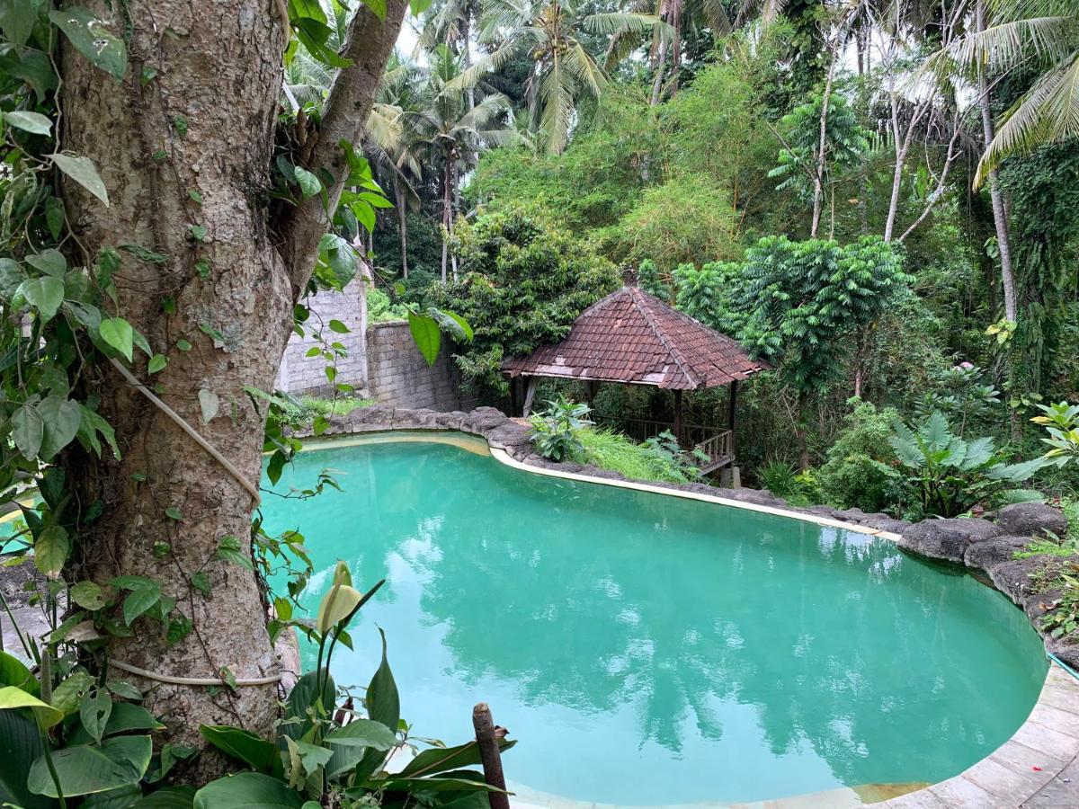 Wonder-Land Villa Ubud Eksteriør bilde