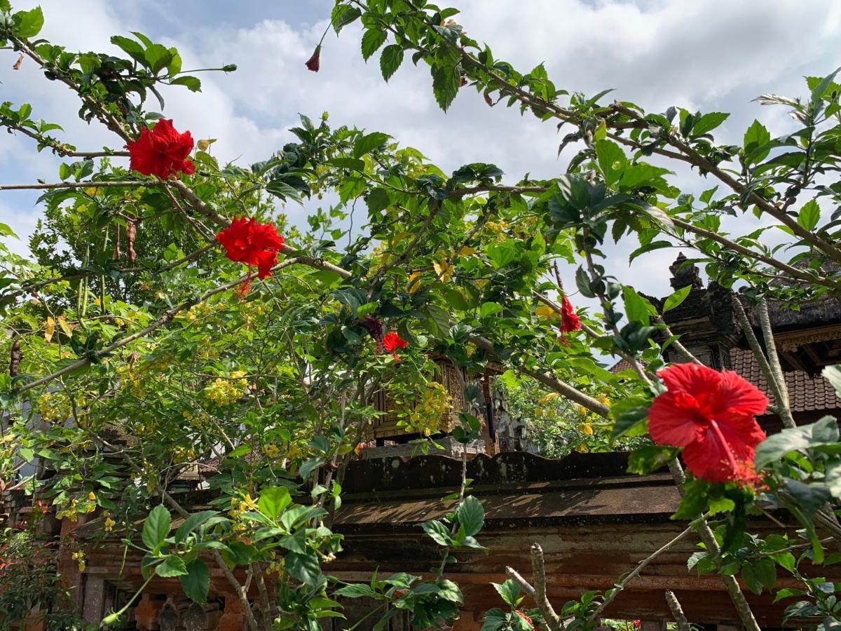 Wonder-Land Villa Ubud Eksteriør bilde