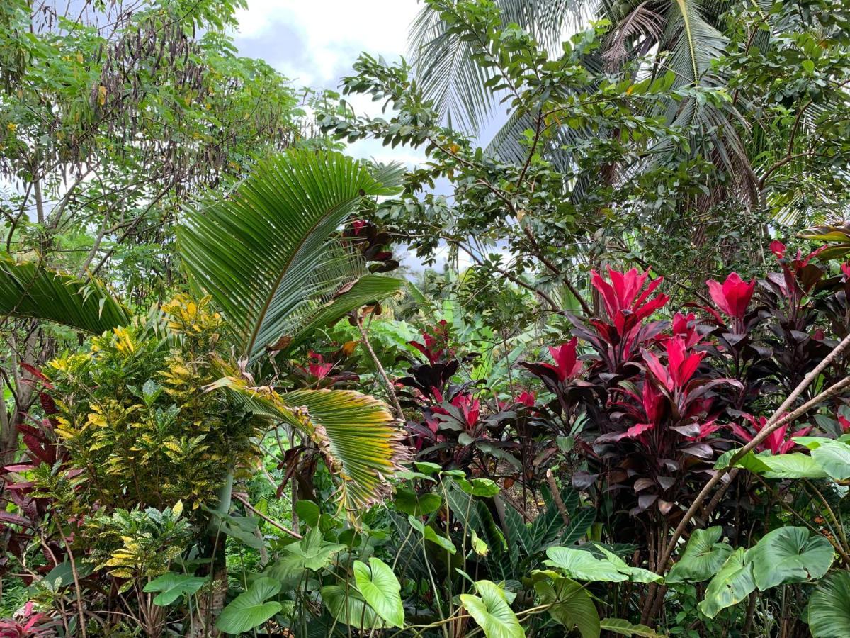 Wonder-Land Villa Ubud Eksteriør bilde